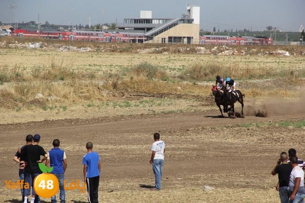 horse race 0602 (44).JPG